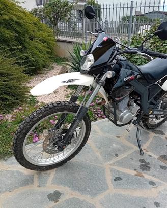 Derby Senda Baja
