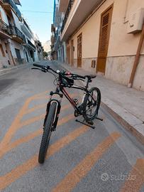 Bicicletta