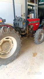 Trattore frutteto massei ferguson