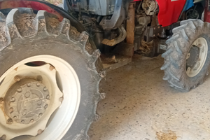 Trattore frutteto massei ferguson