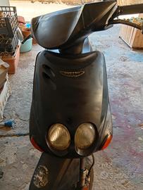 ovetto 1999