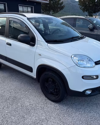Fiat panda 4x4 twin air