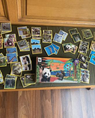 memory WWF