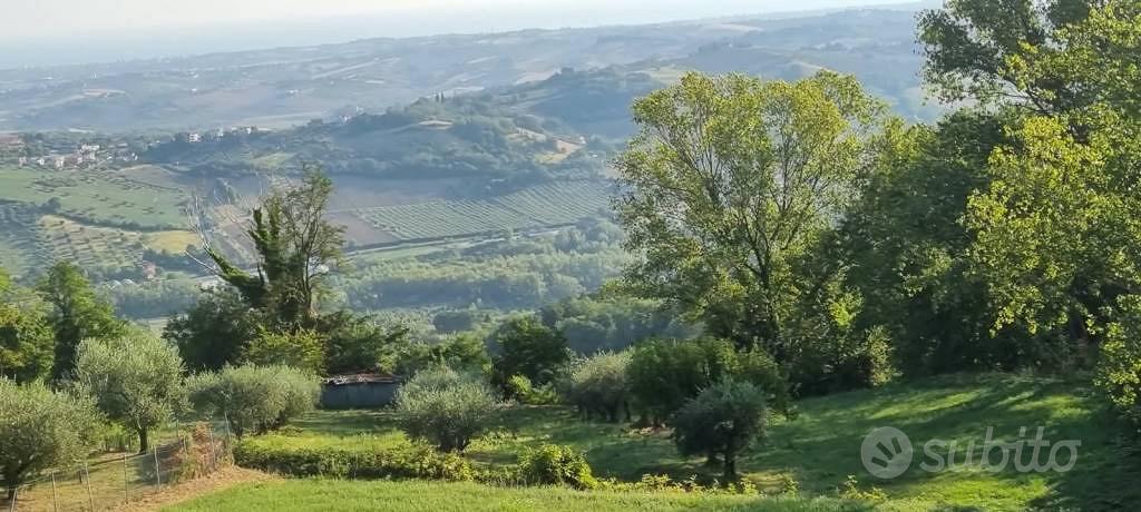 Terreno di 4309 m² a Gemmano - Vista 3