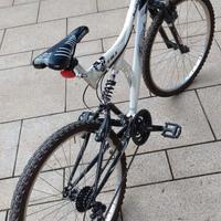 MOUNTAIN BIKE 26 POLLICI FREJUS