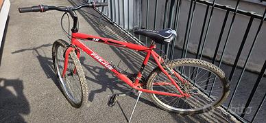 bicilcetta