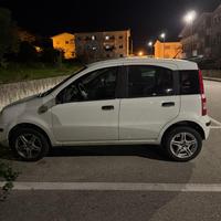 Fiat panda 1.3 multijet 69cv
