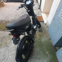 Bicicletta elettrica