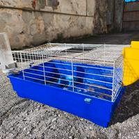 Gabbia porcellini d'india con accessori 