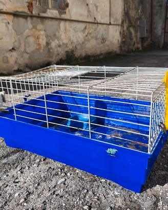 Gabbia porcellini d'india con accessori 