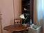 Immagine 12