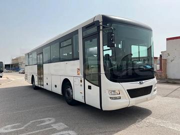 Man lion's intercity