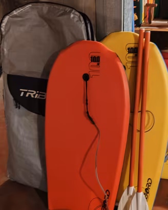 Surf bimbi