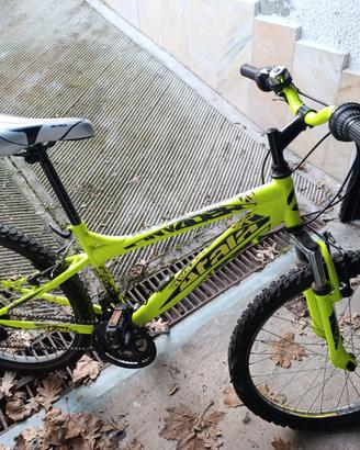 Bicicletta