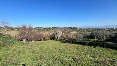 TER. AGRICOLO A CAPENA