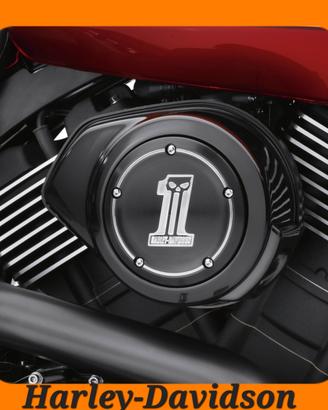 INSERTO FILTRO ARIA H-D STREET XG 500/750