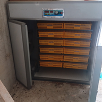 Incubatrice 1050 uova