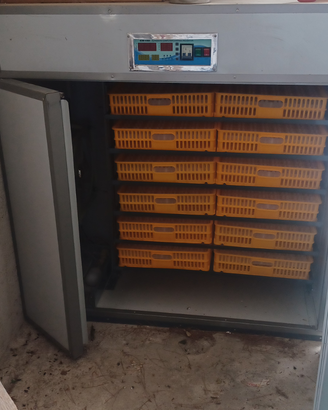 Incubatrice 1050 uova