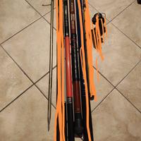 set 2 Canne da pesca allungabili 