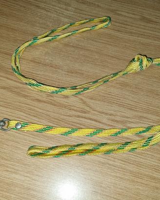 guinzaglio cane giallo e verde