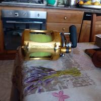 mulinello penn 30 lb gold doppia velocità drifting