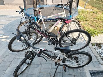 mtb da riparare