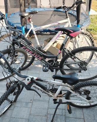mtb da riparare