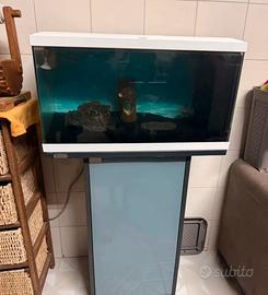 Acquario e mobiletto
