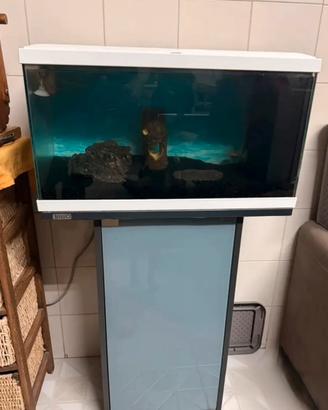 Acquario e mobiletto