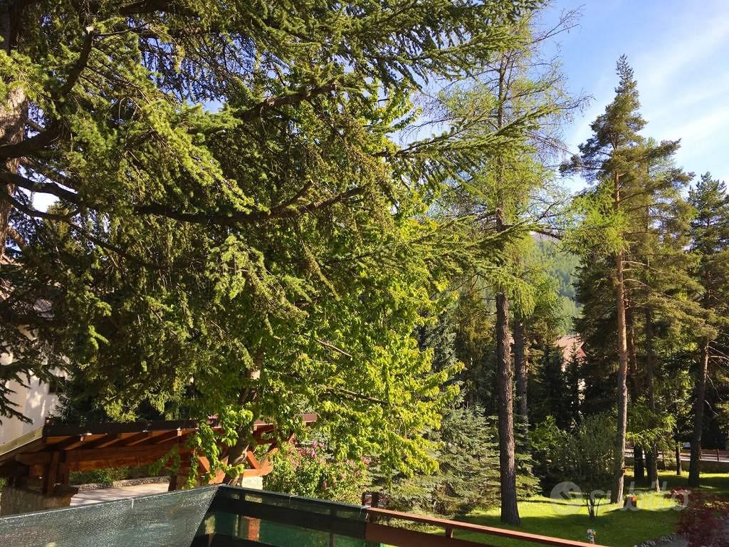 Appartamento – Bardonecchia, Torino - Vista 4