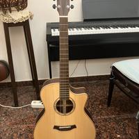 Chitarra acustica professionale