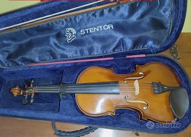 Violino