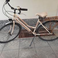 Bici Magnum