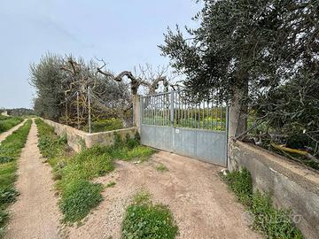 Terreno Agricolo - Massafra