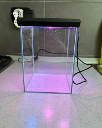 Acquario
