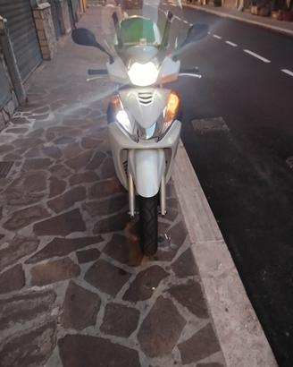 sh 300 anno 2015