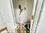 Immagine 16
