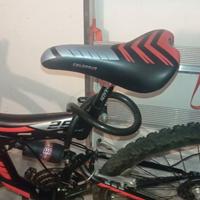 Bici Mountain bike usato