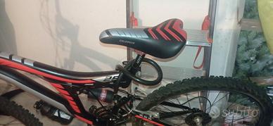 Bici Mountain bike usato