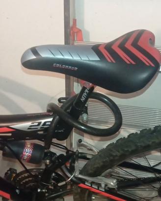 Bici Mountain bike usato