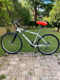 Bici mtb Carraro