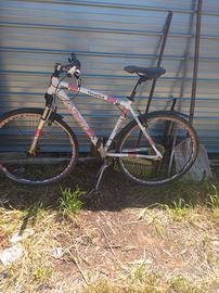 Mountain bike uomo 