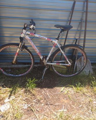 Mountain bike uomo 