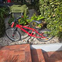 bici da bambino