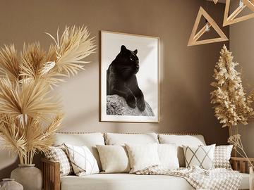 Poster 30x40 con cornice: Regal Shadow