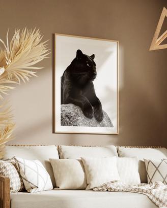 Poster 30x40 con cornice: Regal Shadow