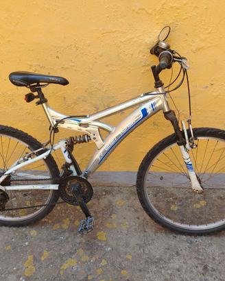 Bicicletta