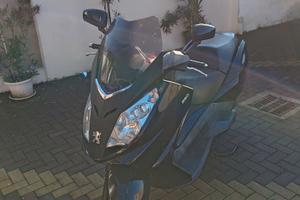 Peugeot Satelis 250 - 2009