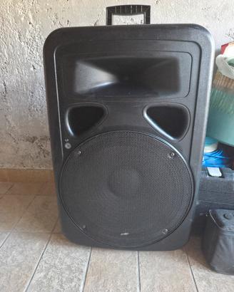 cassa karaoke con microfono