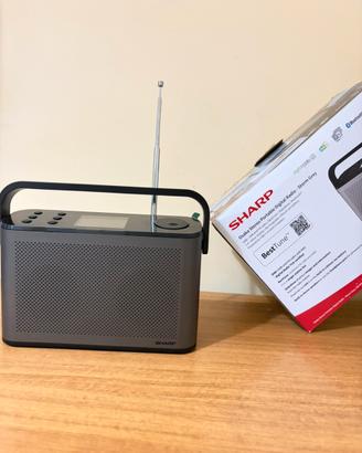 Radio Portatile SHARP DAB+/BT (DR-P540 Storm Grey)